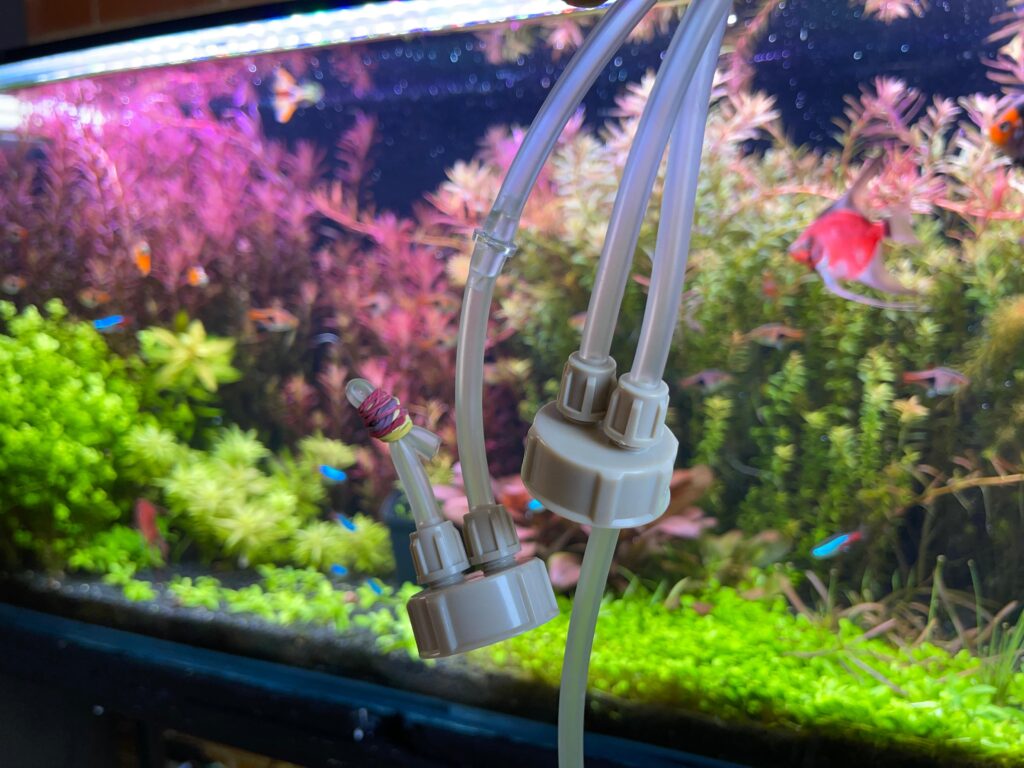 CO2 casero para acuario plantado