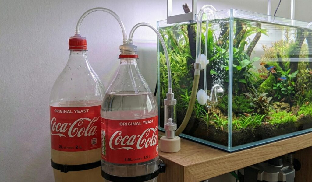 CO2 casero para acuario plantado