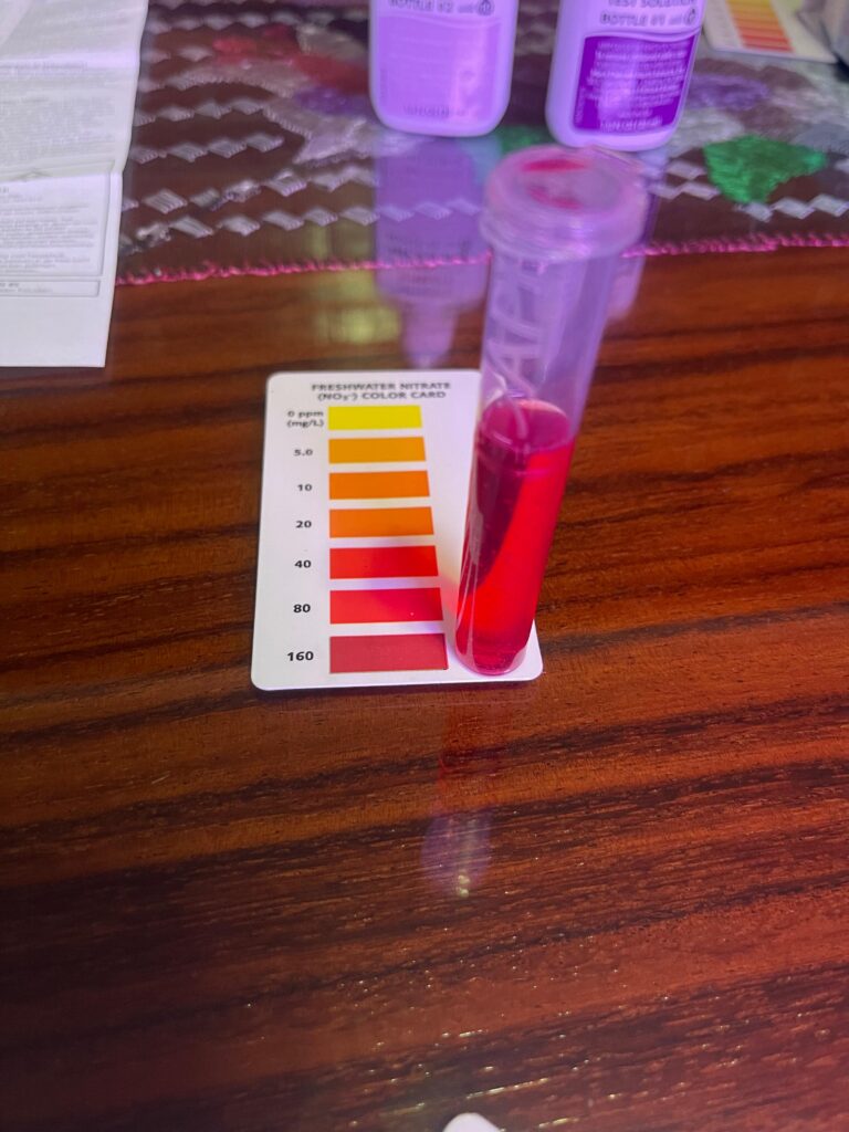 Resultado de un test de gotas de acuario mostrando un color rojo intenso, indicando una concentración crítica de nitratos.