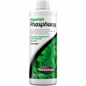 foto de producto seachem phosphorus con fondo blanco profesional